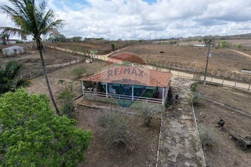 Venda-Chácara / Sítio / Fazenda-Lajedo do Cedro , sn  - Estrada de Lajedo do Cedro  - Boa Vista , Caruaru , Pernambuco , 55.108-970-850161060-46