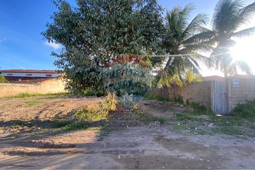 Venda-Terreno-Barra Mar , Barra de São Miguel , Alagoas , 57110000-850751006-5