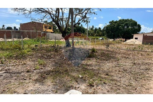 Venda-Terreno-Nossa Senhora do O , Ipojuca , Pernambuco , 55590000-850221031-281