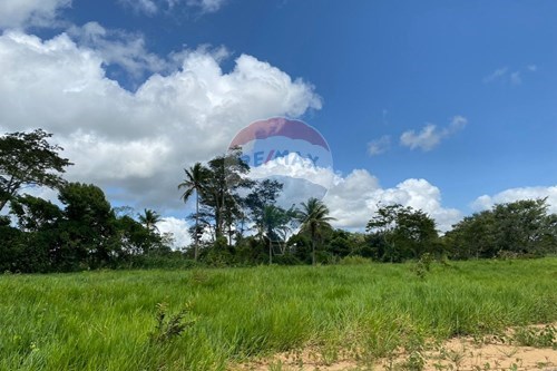 Venda-Terreno-Centro , Paudalho , Pernambuco , 55825000-850261003-324