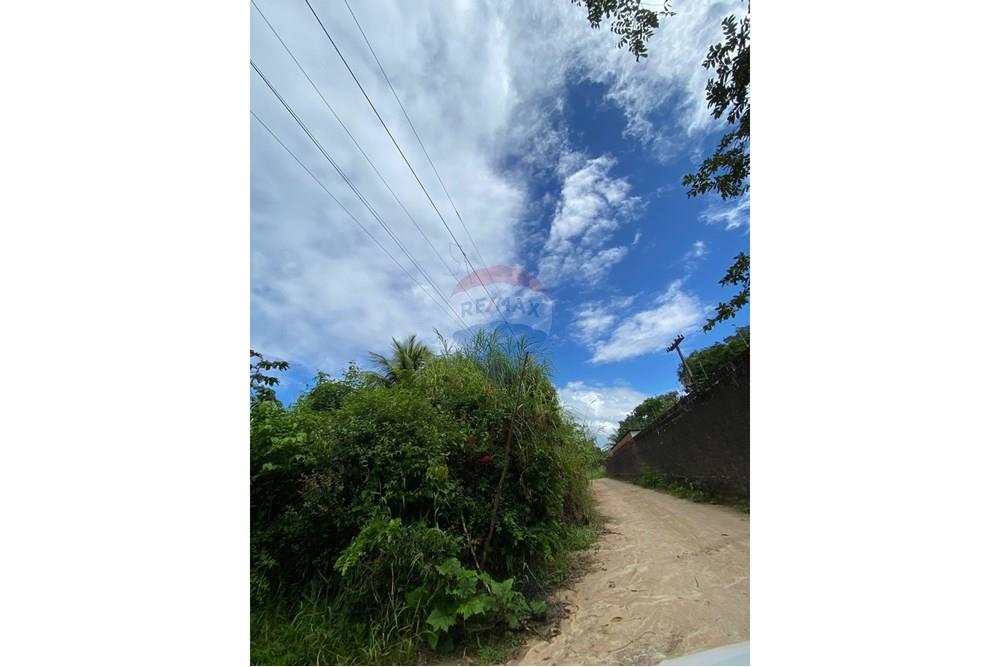 Chácara / Sítio / Fazenda - Venda - Camaragibe , Pernambuco - a194d7bf-56fc-464a-9329-e92a41cba8fc.jpg - 850191067-47
