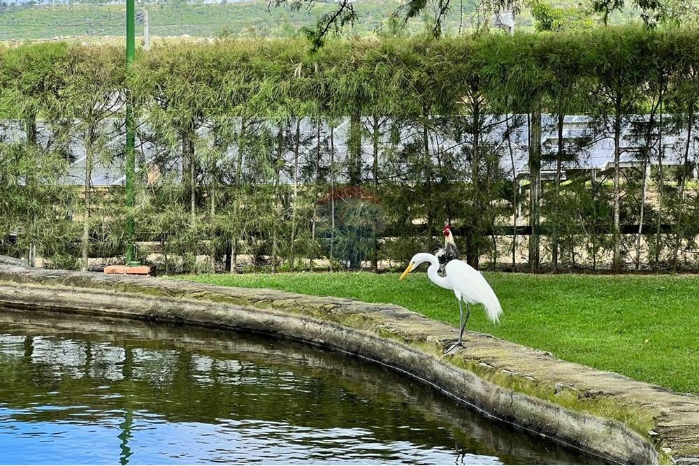 Casa - Venda - Gravatá , Pernambuco - Imagem do WhatsApp de 2025-07-28 à(s) 17.15.34_806388a5.jpg - 850301001-342