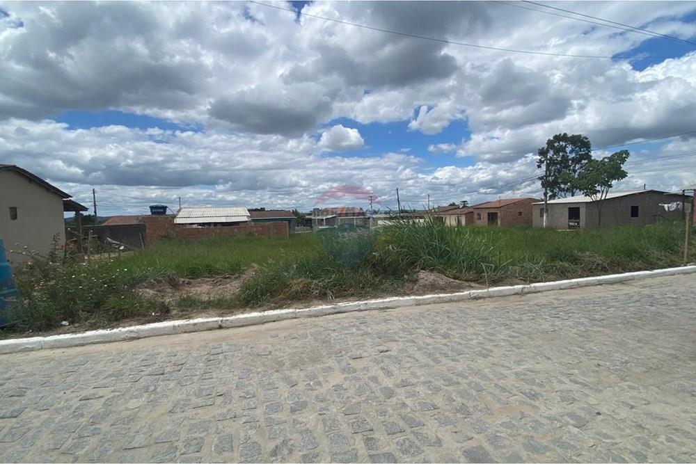 Terreno - Venda - Brejão , Pernambuco - Onça 10.jpeg - 850741009-2