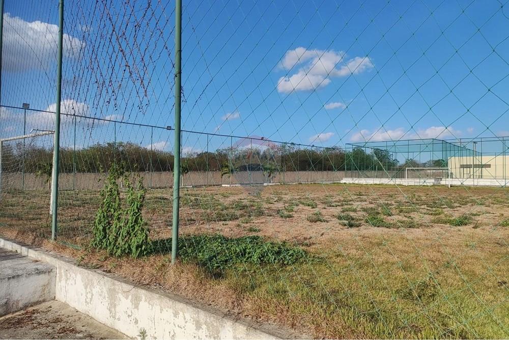 Terreno - Venda - Sairé , Pernambuco - 5c321baa-bf6a-4d31-b220-9543ced9f858.jpg - 850501080-139