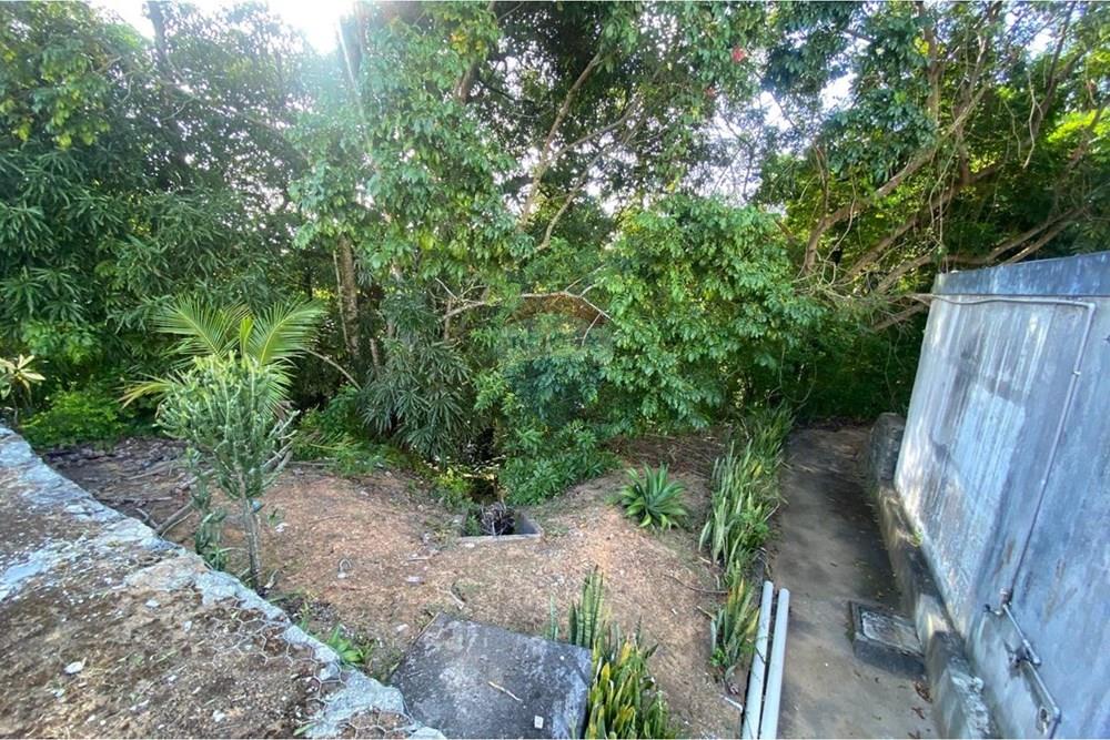 Apartamento - Alugar - Maceió , Alagoas - WhatsApp Image 2026-03-11 at 15.23.10 (2).jpeg - 850271152-78