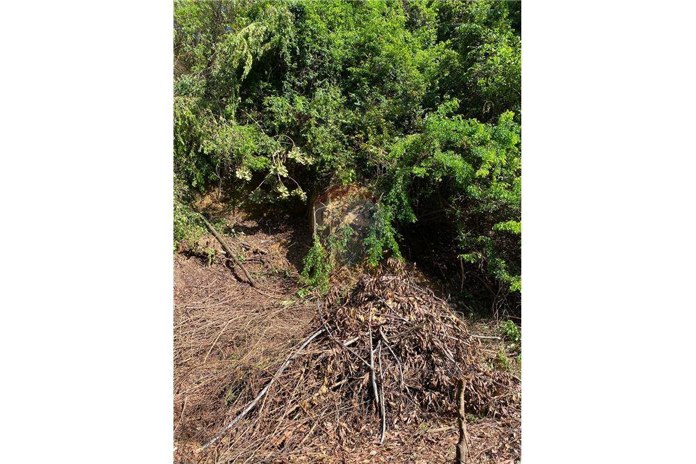 Terreno - Venda - Recife , Pernambuco - 7 - 850251016-617