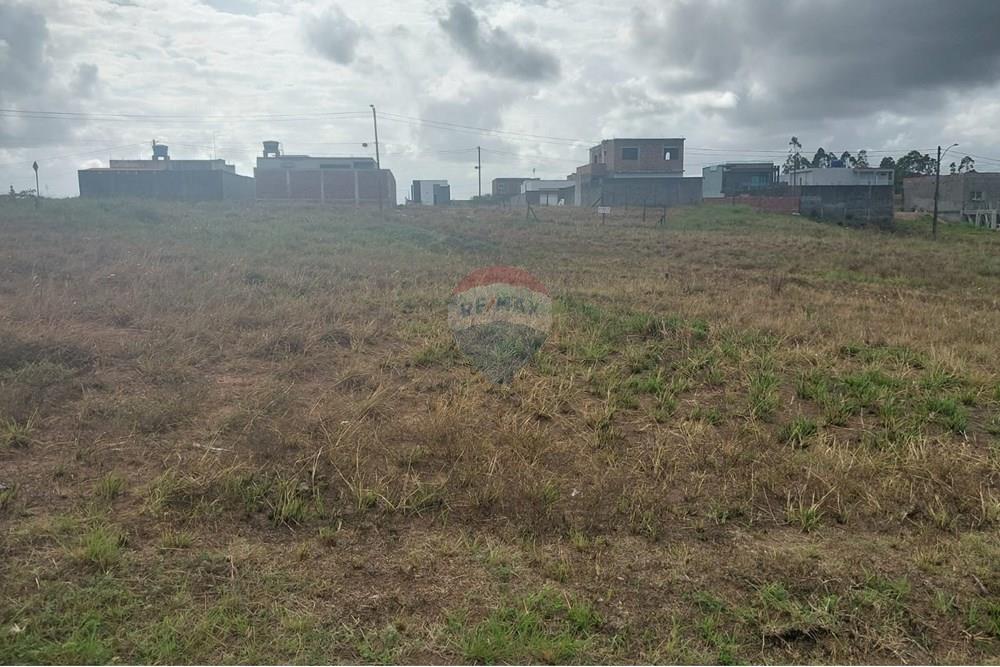 Terreno - Venda - Cabo de Santo Agostinho , Pernambuco - WhatsApp Image 2024-12-23 at 13.07.22.jpeg - 850281036-43