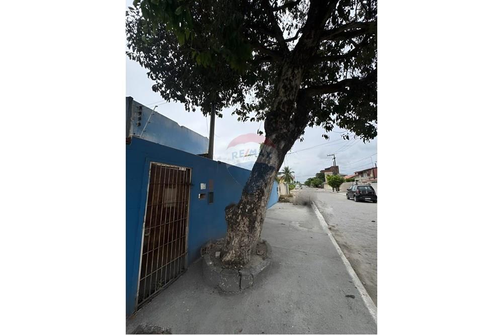 Terreno - Venda - Ipojuca , Pernambuco - WhatsApp Image 2025-12-10 at 09.45.02 (2).jpeg - 850221031-262