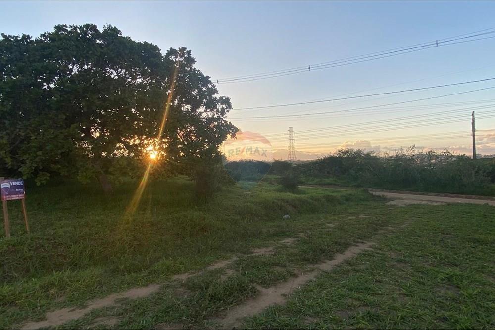 Terreno - Venda - Garanhuns , Pernambuco - WhatsApp Image 2026-03-27 at 15.40.55 (15).jpeg - 850741009-1