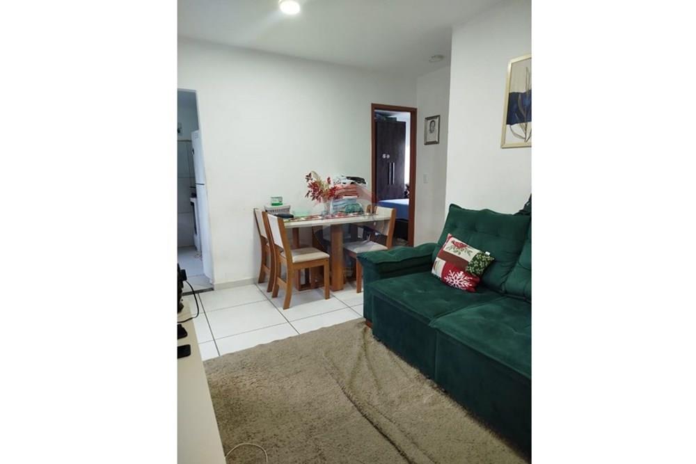 Apartamento - Venda - Paulista , Pernambuco - WhatsApp Image 2025-11-19 at 12.43.06 (3).jpeg - 850721002-167