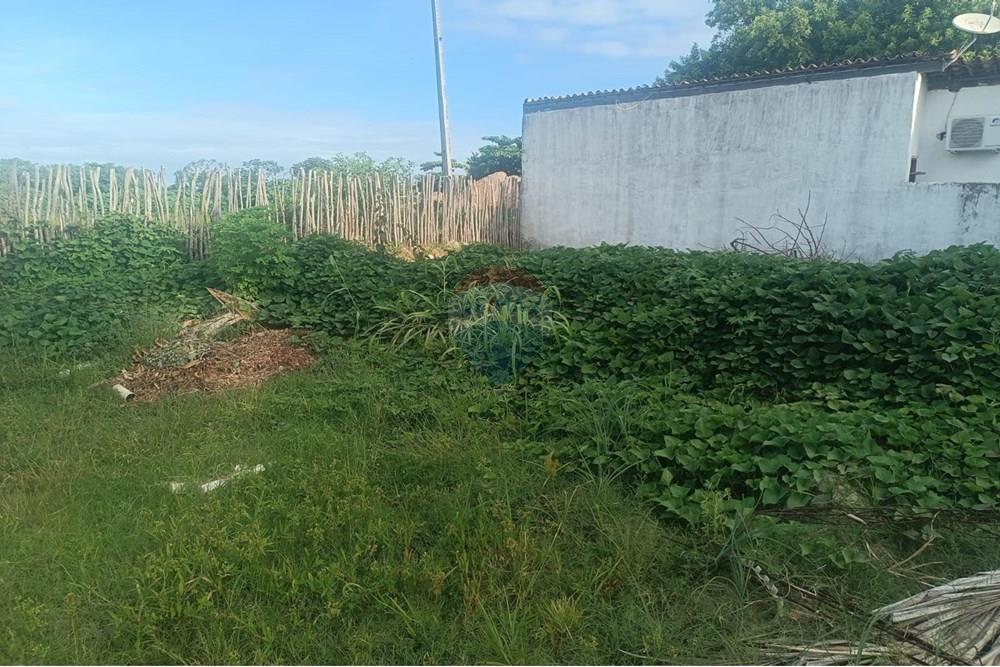 Terreno - Venda - Porto de Pedras , Alagoas - TERRENO CLÁUDIO 12.jpeg - 850141002-133