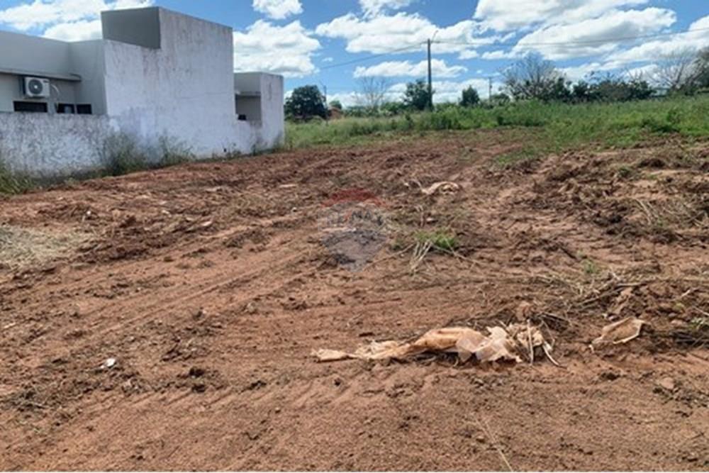 Terreno - Venda - Palmeira dos Índios , Alagoas - L_a27982c3-57e7-464e-a7f4-5d1ebbf768a5.jpg - 850271243-2