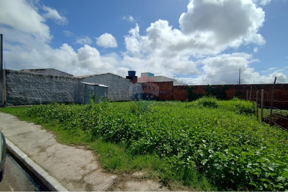 Terreno - Venda - Marechal Deodoro , Alagoas - IMG_20250605_130639389_HDR.jpg - 850651033-4