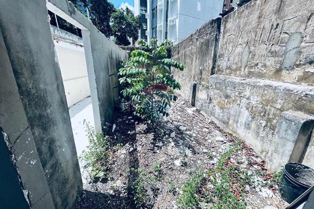 Casa Comercial - Alugar - Recife , Pernambuco - WhatsApp Image 2026-01-15 at 17.40.33.jpeg - 850701030-1