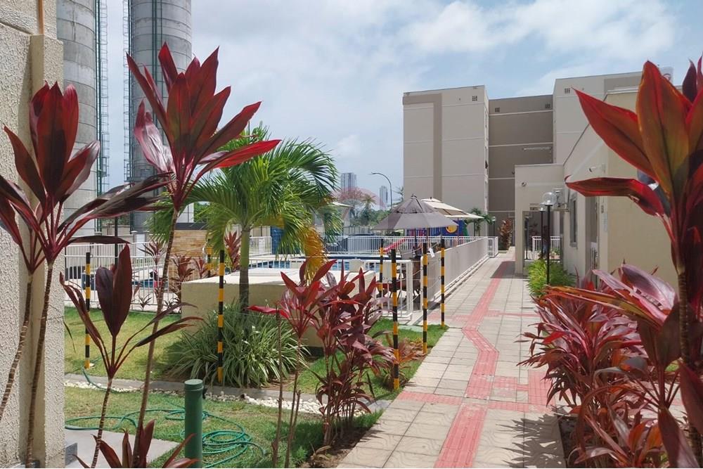 Apartamento - Venda - Jaboatão dos Guararapes , Pernambuco - e283808a-10c5-4246-b2b0-b8b64cd18a84.jpeg - 850251079-51
