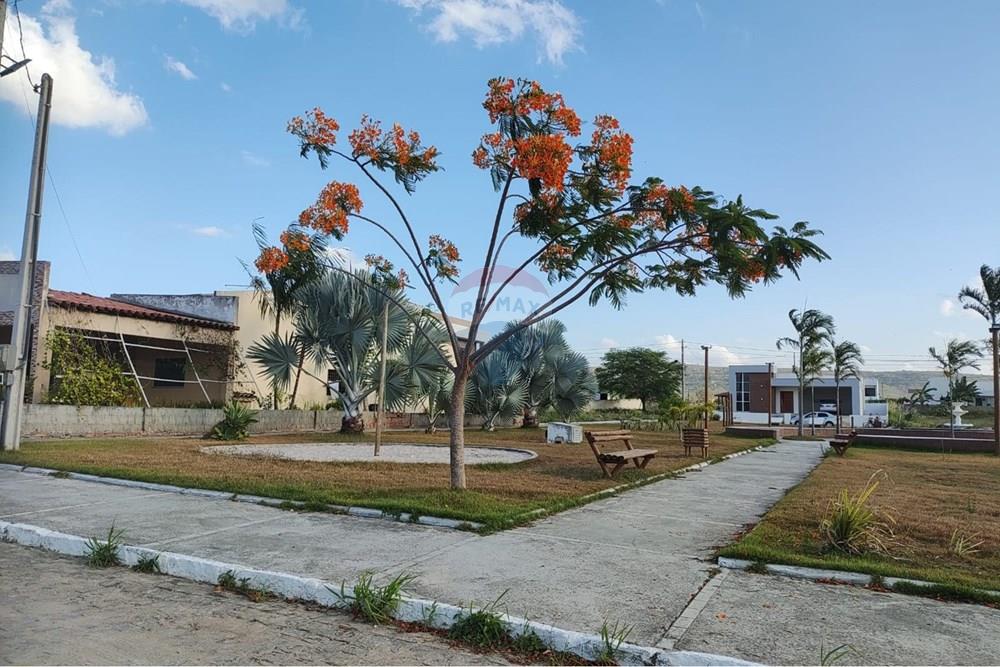 Terreno - Venda - Sairé , Pernambuco - 2dc5045a-6947-4aab-9501-b96256d579c7.jpg - 850501080-139