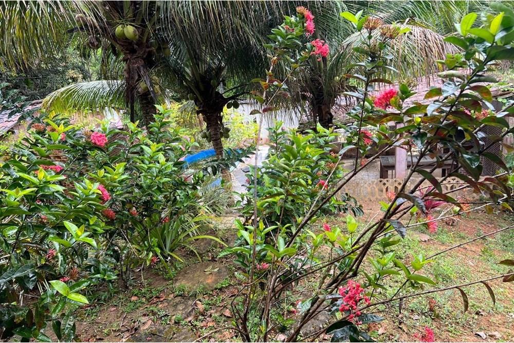 Casa de Campo - Venda - Cabo de Santo Agostinho , Pernambuco - WhatsApp Image 2025-03-13 at 15.10.54.jpeg - 850281046-12