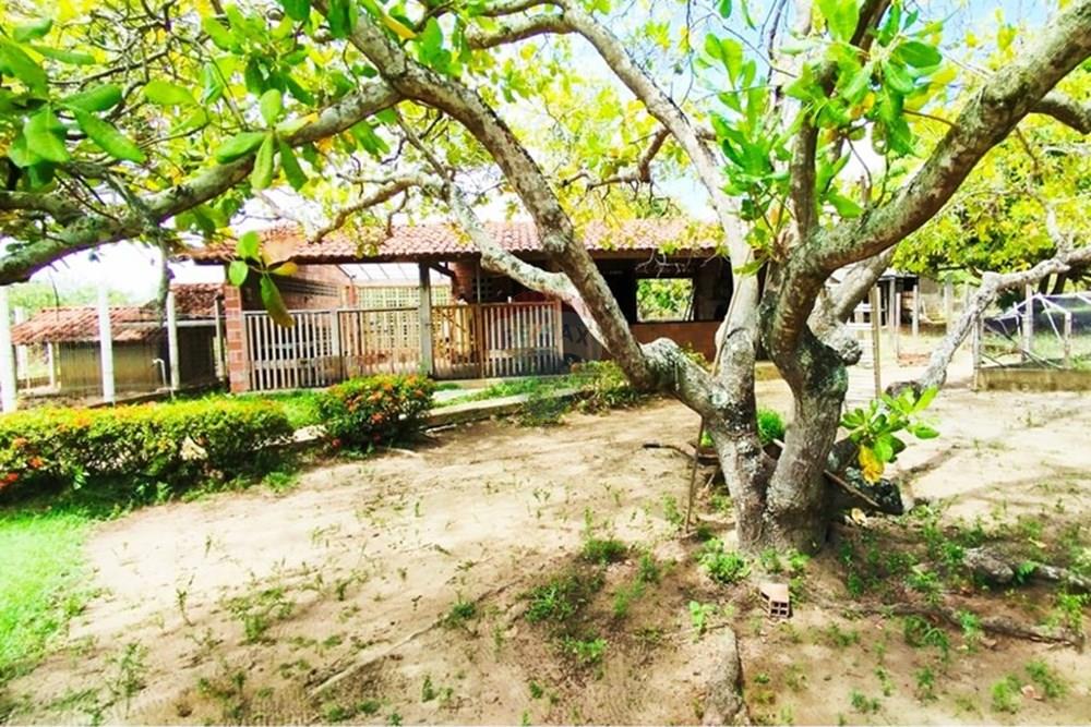 Chácara / Sítio / Fazenda - Alugar - Igarassu , Pernambuco - WhatsApp Image 2025-01-23 at 15.12.42 (3).jpeg - 850071019-200