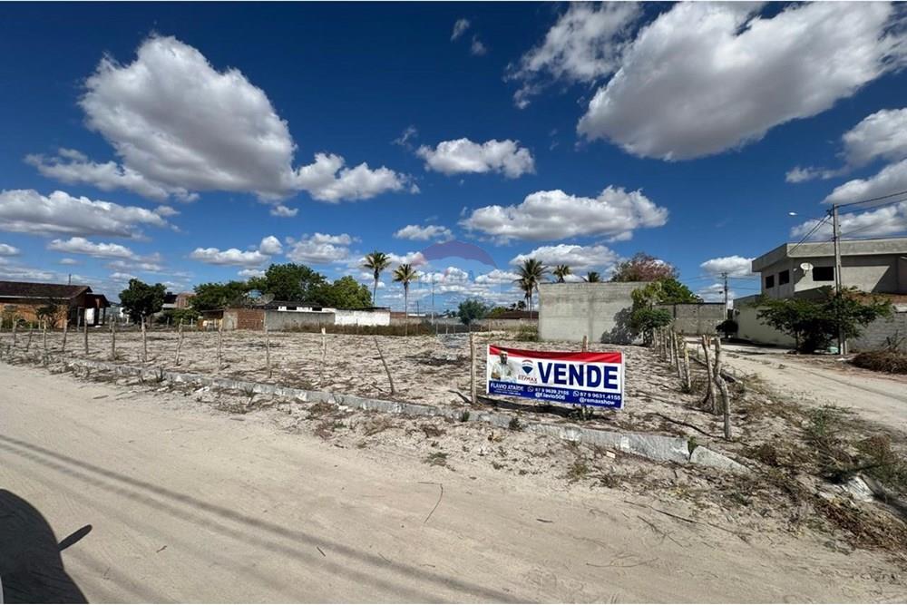 Terreno - Venda - Lajedo , Pernambuco - WhatsApp Image 2025-12-26 at 16.44.50 (3).jpeg - 850131003-525