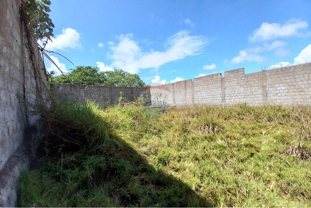 Terreno - Venda - Barra de Santo Antônio , Alagoas - 20251129_091327.jpg - 850271020-207