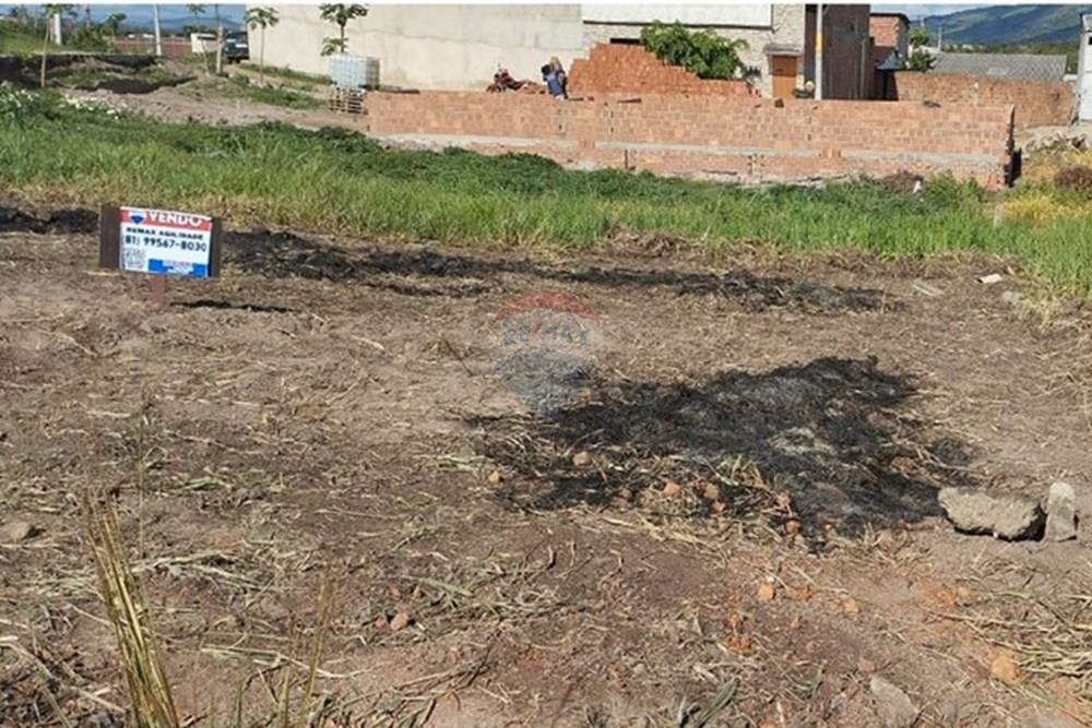 Terreno - Venda - Bonito , Pernambuco - Imagem do WhatsApp de 2025-02-25 à(s) 08.41.25_a470d241.jpg - 850051012-94