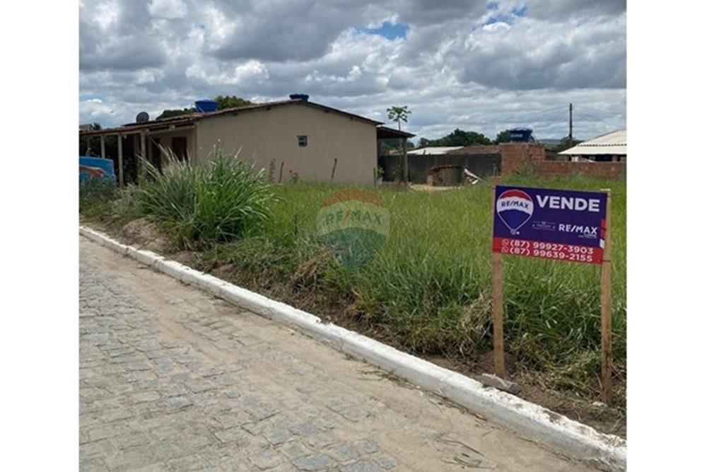 Terreno - Venda - Brejão , Pernambuco - Onça 4.jpeg - 850741009-3