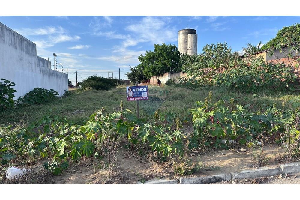 Terreno - Venda - Garanhuns , Pernambuco - WhatsApp Image 2025-12-04 at 09.31.45.jpeg - 850741006-8