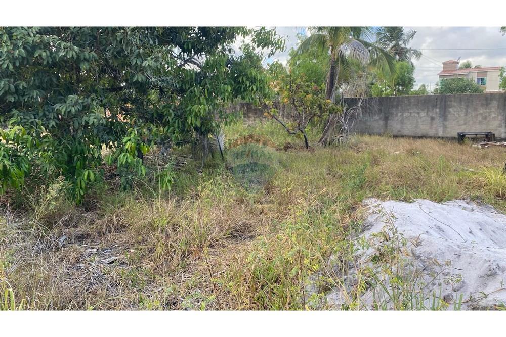Terreno - Venda - Maragogi , Alagoas - IMG_3092.jpeg - 850271264-16