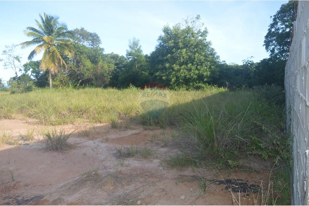 Terreno - Venda - Maragogi , Alagoas - DSC_0007 (1).JPG - 850291008-87