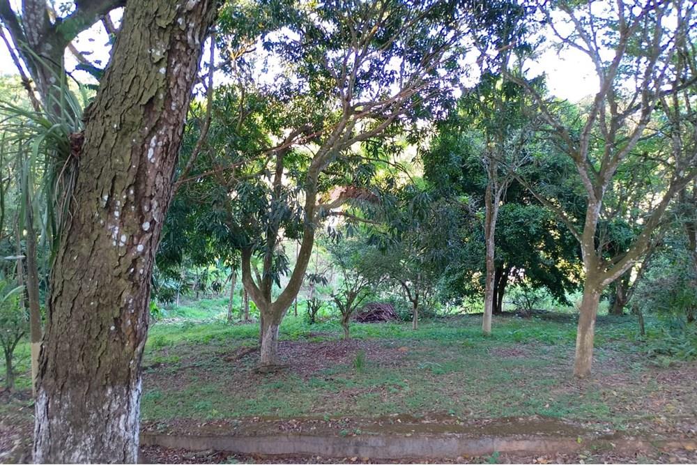 Casa - Alugar - São Lourenço da Mata , Pernambuco - 11.jpg - 850471015-127