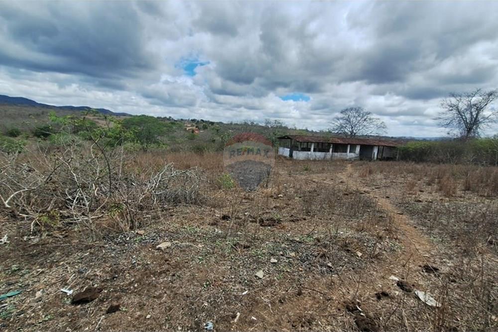 Chácara / Sítio / Fazenda - Venda - Caruaru , Pernambuco - WhatsApp Image 2026-03-02 at 14.27.31.jpeg - 850161060-46