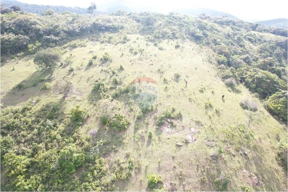 Chácara / Sítio / Fazenda - Venda - Caruaru , Pernambuco - Captura de tela 2025-03-21 122754.jpg - 850161001-425