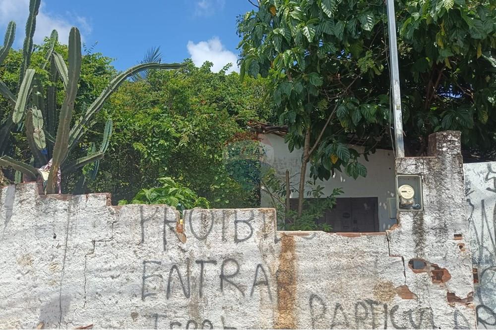 Terreno - Venda - Recife , Pernambuco - 05a6981e-ff32-4a15-b401-51fd619e0456.jpg - 850301004-36