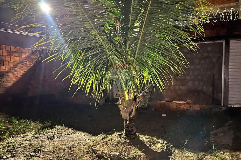 Terreno - Venda - Maceió , Alagoas - WhatsApp Image 2025-08-31 at 20.52.26.jpeg - 850651033-3