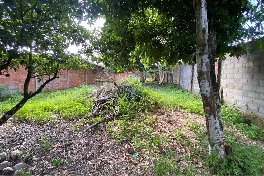 Terreno - Venda - Maceió , Alagoas - WhatsApp Image 2025-09-23 at 19.04.55 (2).jpeg - 850271154-83