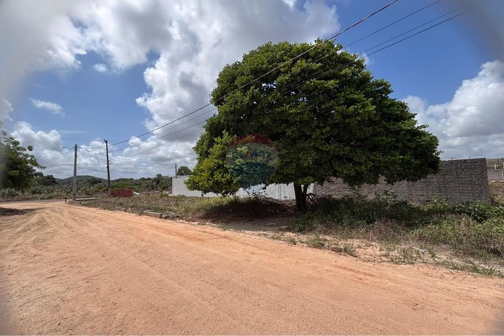 Terreno - Venda - Barra de São Miguel , Alagoas - WhatsApp Image 2026-01-22 at 07.46.29.jpeg - 850711032-24