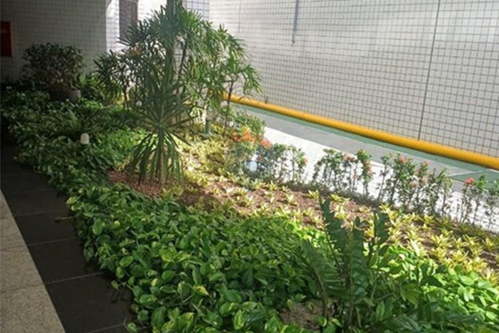 Apartamento - Venda - Recife , Pernambuco - WhatsApp Image 2025-01-15 at 17.25.24 (1).jpeg - Jardim Interno - 850071032-120