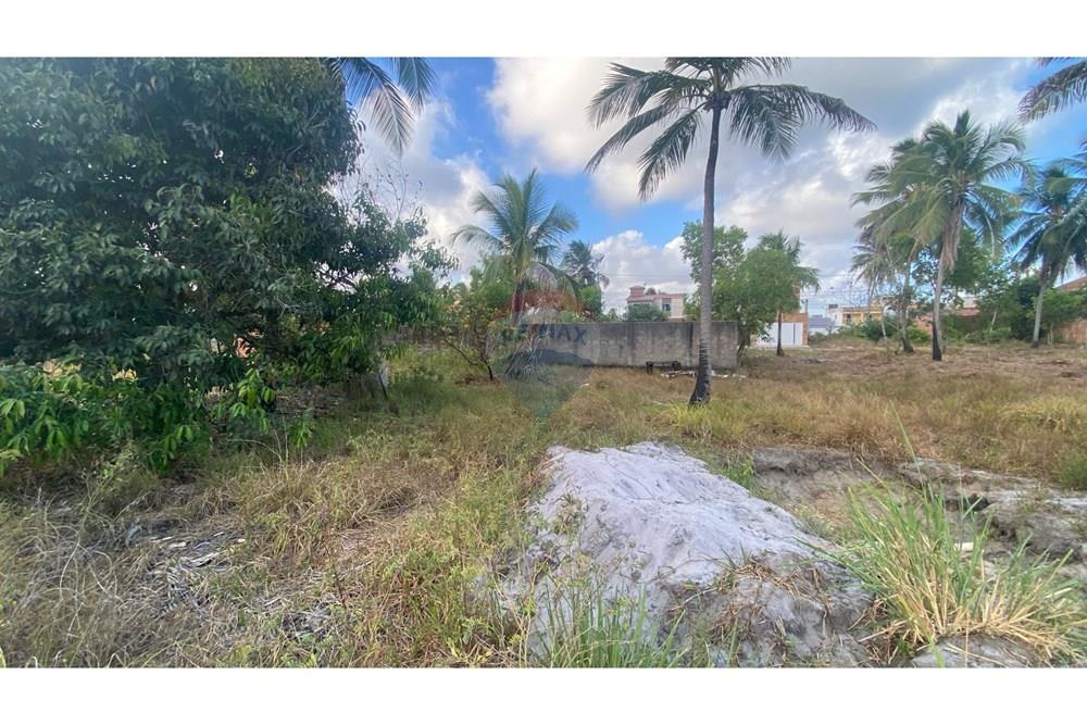 Terreno - Venda - Maragogi , Alagoas - IMG_3070.jpeg - 850271264-16