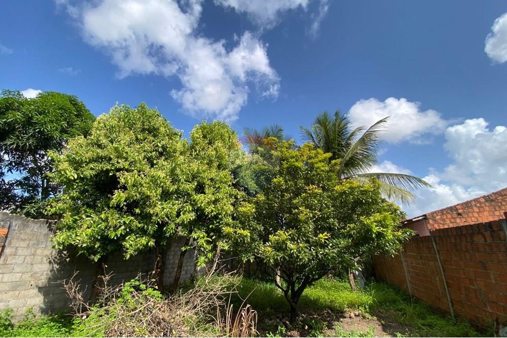 Terreno - Venda - Maceió , Alagoas - WhatsApp Image 2025-09-23 at 19.04.55.jpeg - 850271154-83