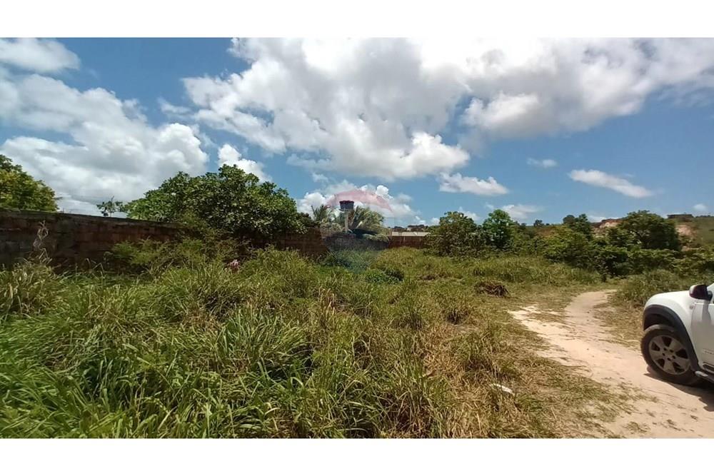 Terreno - Venda - Cabo de Santo Agostinho , Pernambuco - WhatsApp Image 2025-03-15 at 17.21.00 (1).jpeg - 850281025-39