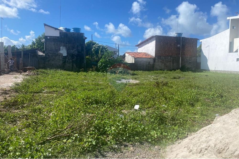 Terreno - Venda - Ipojuca , Pernambuco - WhatsApp Image 2025-06-02 at 15.26.57 (1).jpeg - 850221030-36