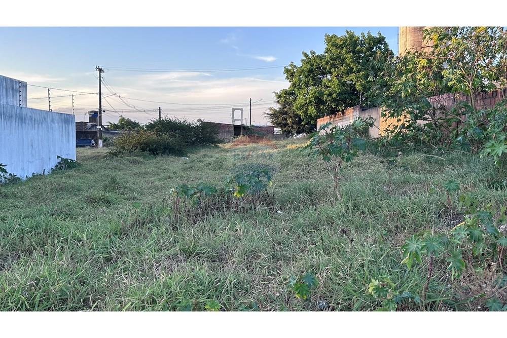 Terreno - Venda - Garanhuns , Pernambuco - IMG_2890.JPG - 850741006-8