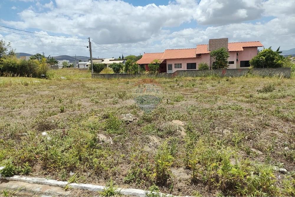 Terreno - Venda - Sairé , Pernambuco - WhatsApp Image 2026-01-14 at 09.56.02.jpeg - 850501080-139