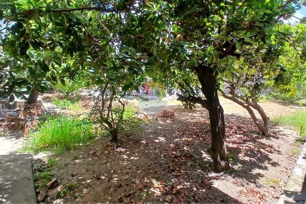 Terreno - Venda - Maceió , Alagoas - meteus terreno.jpg - 850641063-26