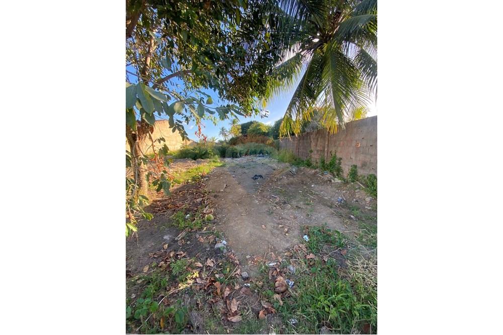 Terreno - Venda - Barra de São Miguel , Alagoas - WhatsApp Image 2025-10-29 at 15.37.36 (1).jpeg - 850751006-5