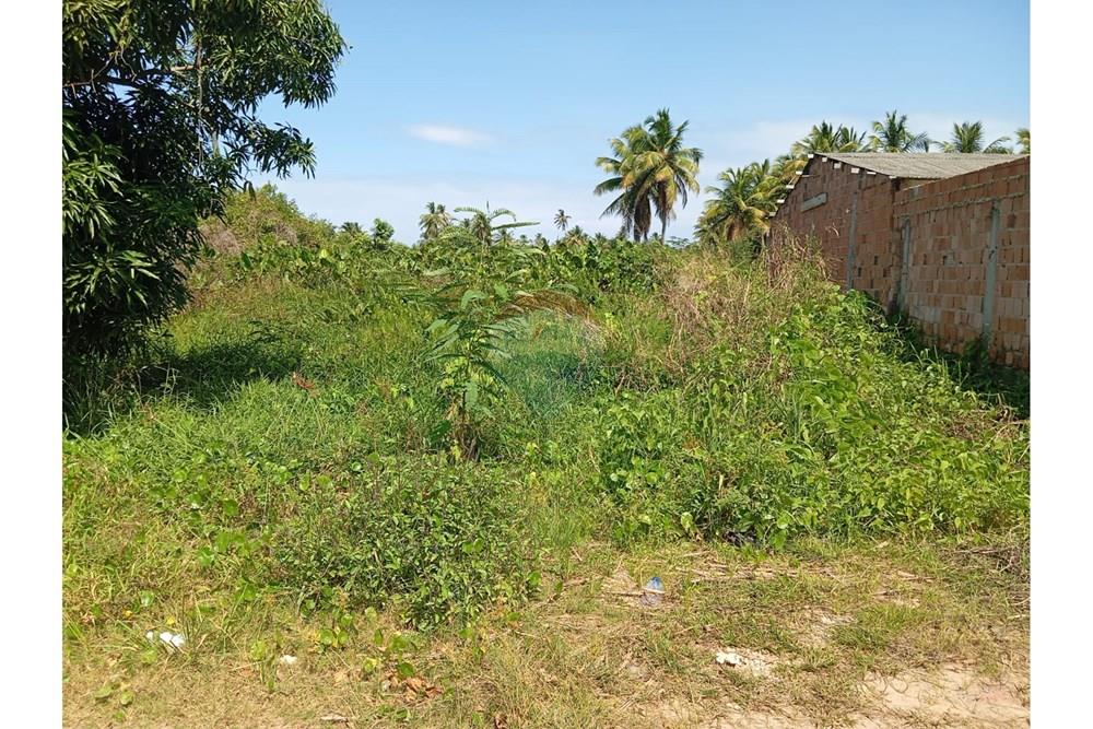 Terreno - Venda - São Miguel dos Milagres , Alagoas - WhatsApp Image 2025-10-17 at 21.01.57.jpeg - 850271222-9