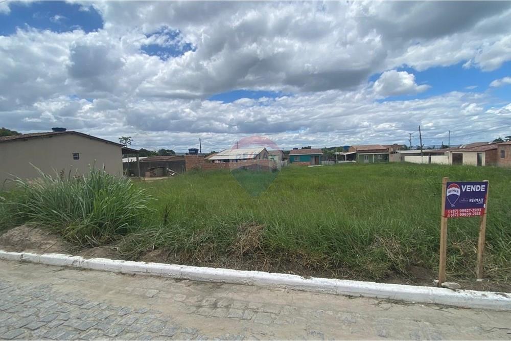 Terreno - Venda - Brejão , Pernambuco - Onça 14.jpeg - 850741009-3