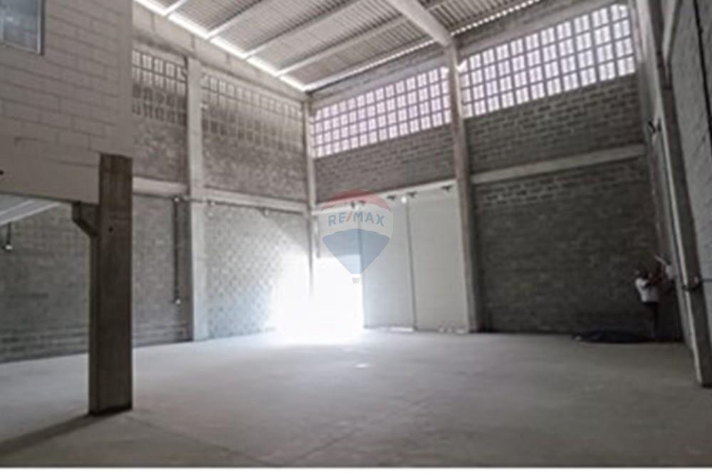 Galpão - Alugar - Recife , Pernambuco - L_25a512e1-3c3f-4cb9-8bec-d6cb3c682e8d.jpg - 850501182-19