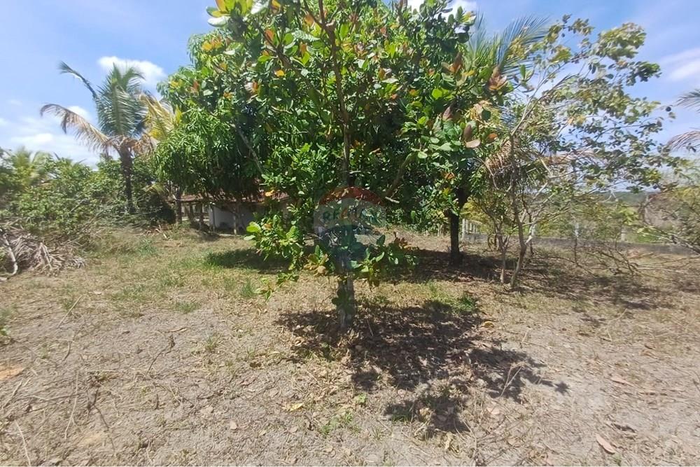 Casa de Campo - Venda - Moreno , Pernambuco - WhatsApp Image 2026-03-29 at 23.19.35.jpeg - 850701027-22