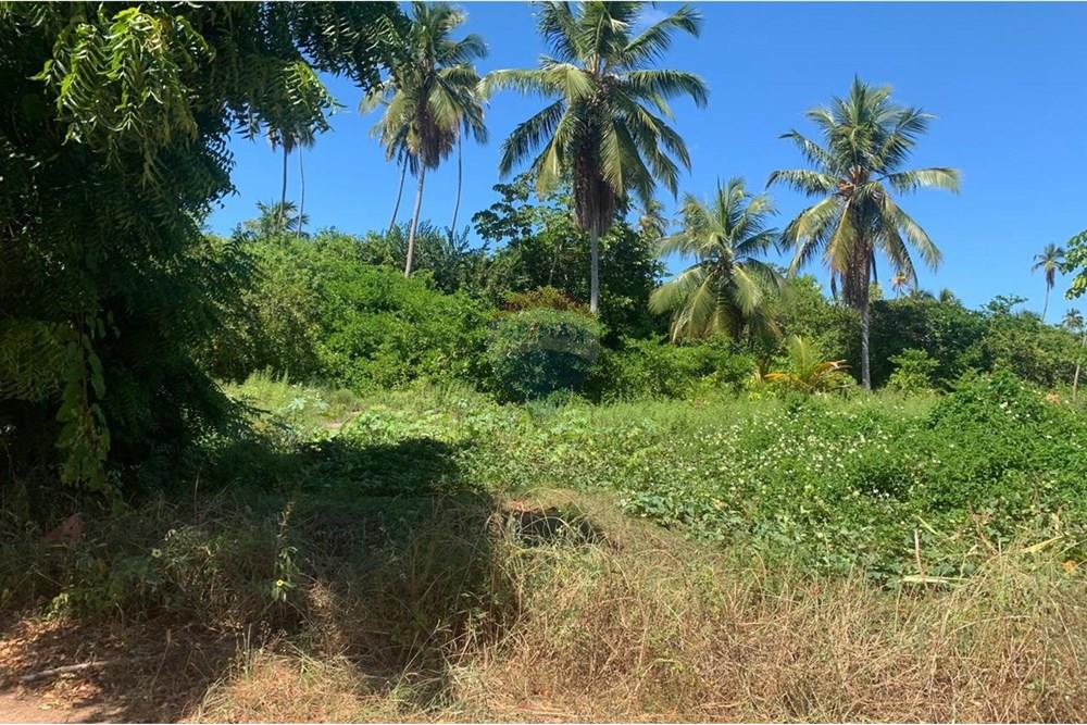 Terreno - Venda - Porto de Pedras , Alagoas - 15.jpg - 850271286-55